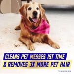 Vanish Carpet Cleaner, Stain Remover Foam for Large Area Cleaning, Removes 3x More Dirt & Pet Hair vs Vacuuming Alone Neutralises Odours Deep Cleans 600 ml Pack of 1, Packaging May Vary - Image 4