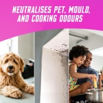 Vanish Oxi Action Upholstery & Carpet Cleaner, Stain Remover Powder for Large Area Cleaning, 650g | Spring Flowers Fragrance | Cleans and Freshens your Carpet - Image 3