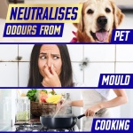 Vanish Carpet Cleaner, Stain Remover Foam for Large Area Cleaning, Removes 3x More Dirt & Pet Hair vs Vacuuming Alone Neutralises Odours Deep Cleans 600 ml Pack of 1, Packaging May Vary - Image 5