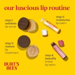 Burt's Bees Lip Balm Birthday Cake, Moisturising Lip Balm With Beeswax and Vitamin E, 100% Natural Origin, 4.25g - Image 4