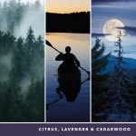 Yankee Candle Scented Candle | Midsummer's Night Large Jar | Long Burning Candles: up to 150 Hours | Perfect Mothers Day and Easter Gifts for Women - Image 9